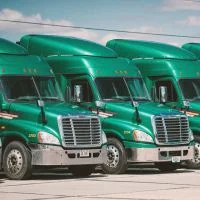 BUCKLE UP RANCH LLC - MC 1099941